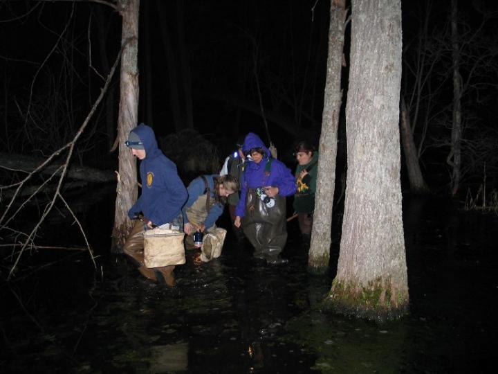 High water mark on tree bases. High water mark on tree bases. Credit: Karl Kleiner